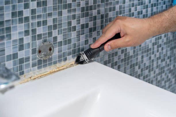 Best Mold Testing  in Windy Hills, KY