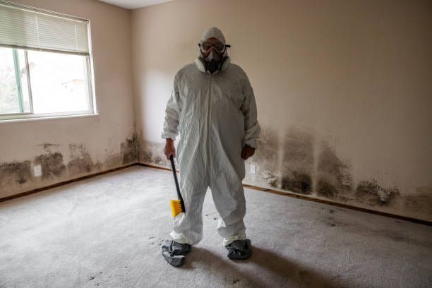 Mold Testing and Removal in Windy Hills, KY